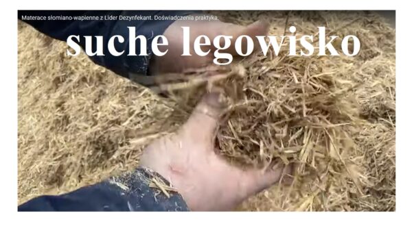 Lider Dezynfekant zapewnia suche legowisko dla bydła w oborze