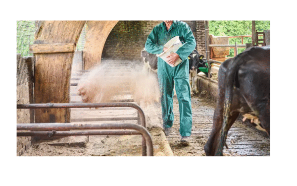 Lider dezynfekan 950 kg, Preparat do suchej dezynfekcji pomieszczeń gospodarskich, suchy dezynfekant Bigbag 950 kg
