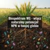 biospektrum WG Biospektrum WG