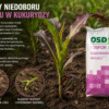 osd fosfor