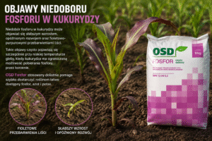 osd fosfor