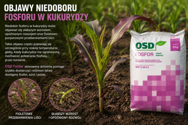 osd fosfor