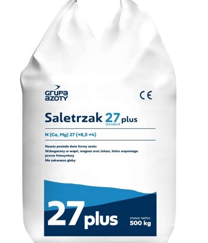 Saletrzak BB
