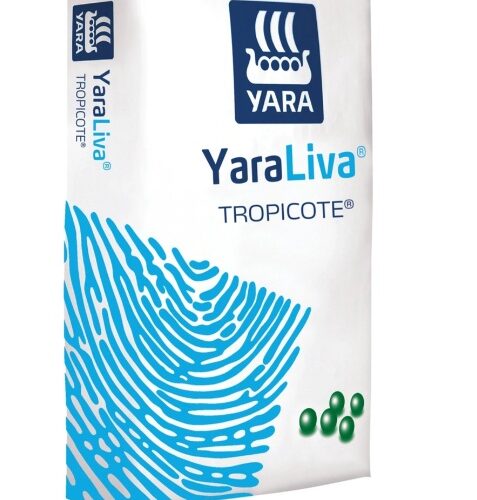 Bez tytułu yara liva TROPICOTE