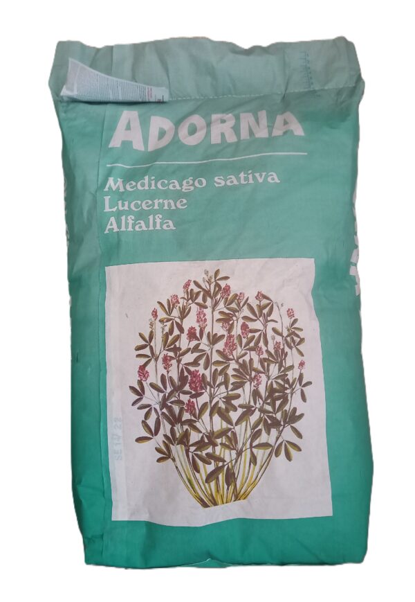 Lucerna Siewna Adorna worek 25kg