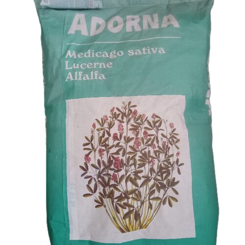 Nasiona lucerny siewnej Adorna