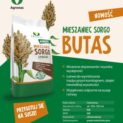 sorgo butas