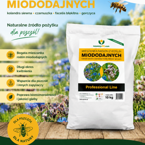 Mieszanka traw miododajnych 10kg