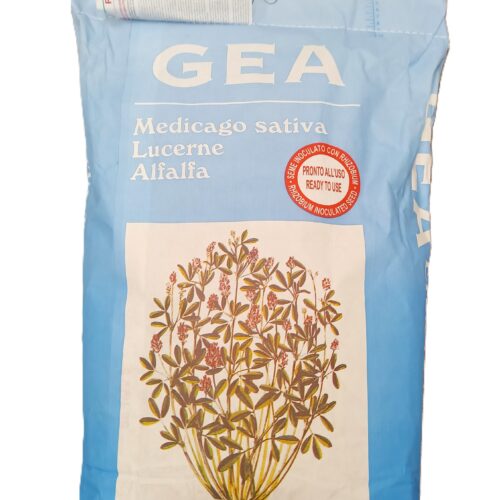 Lucerna siewna GEA – otoczkowana Rhizobium – nasiona lucerny