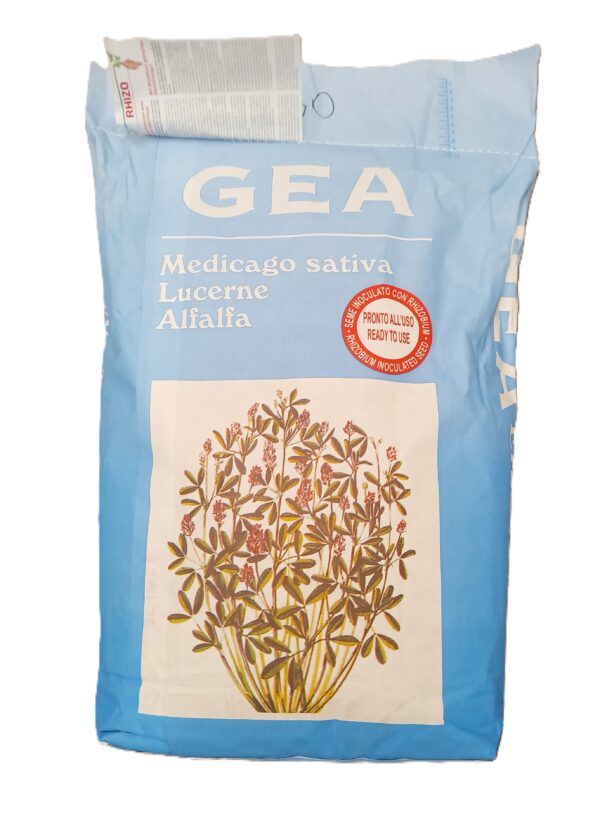 Lucerna siewna GEA – otoczkowana Rhizobium – nasiona lucerny